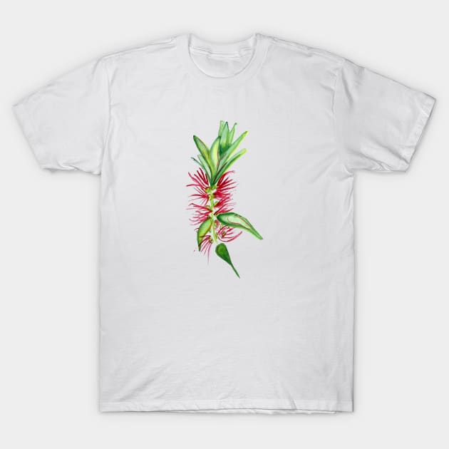 Australian Native Bottlebrush Flower T-Shirt by annaleebeer